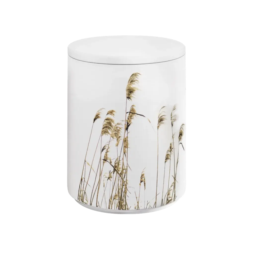 AQUA FLORA BIO-LEHM Urne Schilf weiß
