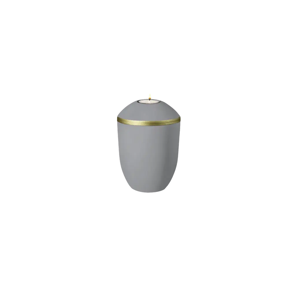 AQUA PURE BIO-LEHM Memory flanell gold