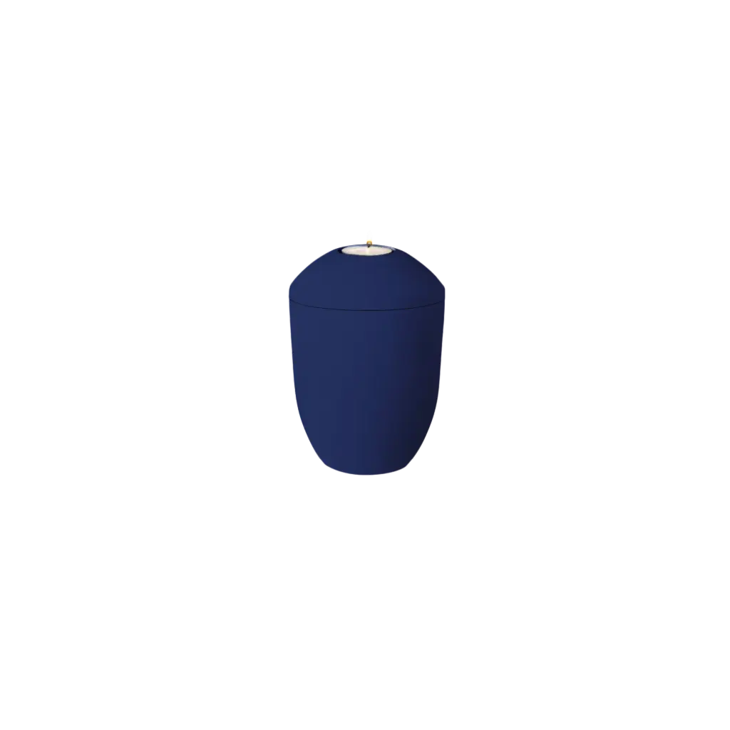 AQUA PURE BIO-LEHM Memory saphir uni