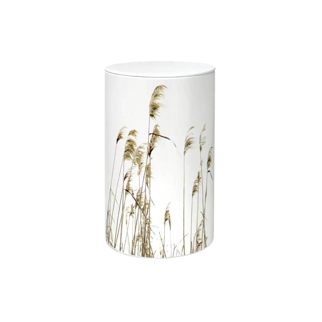FLORA BIO-LEHM Urne Schilf weiß