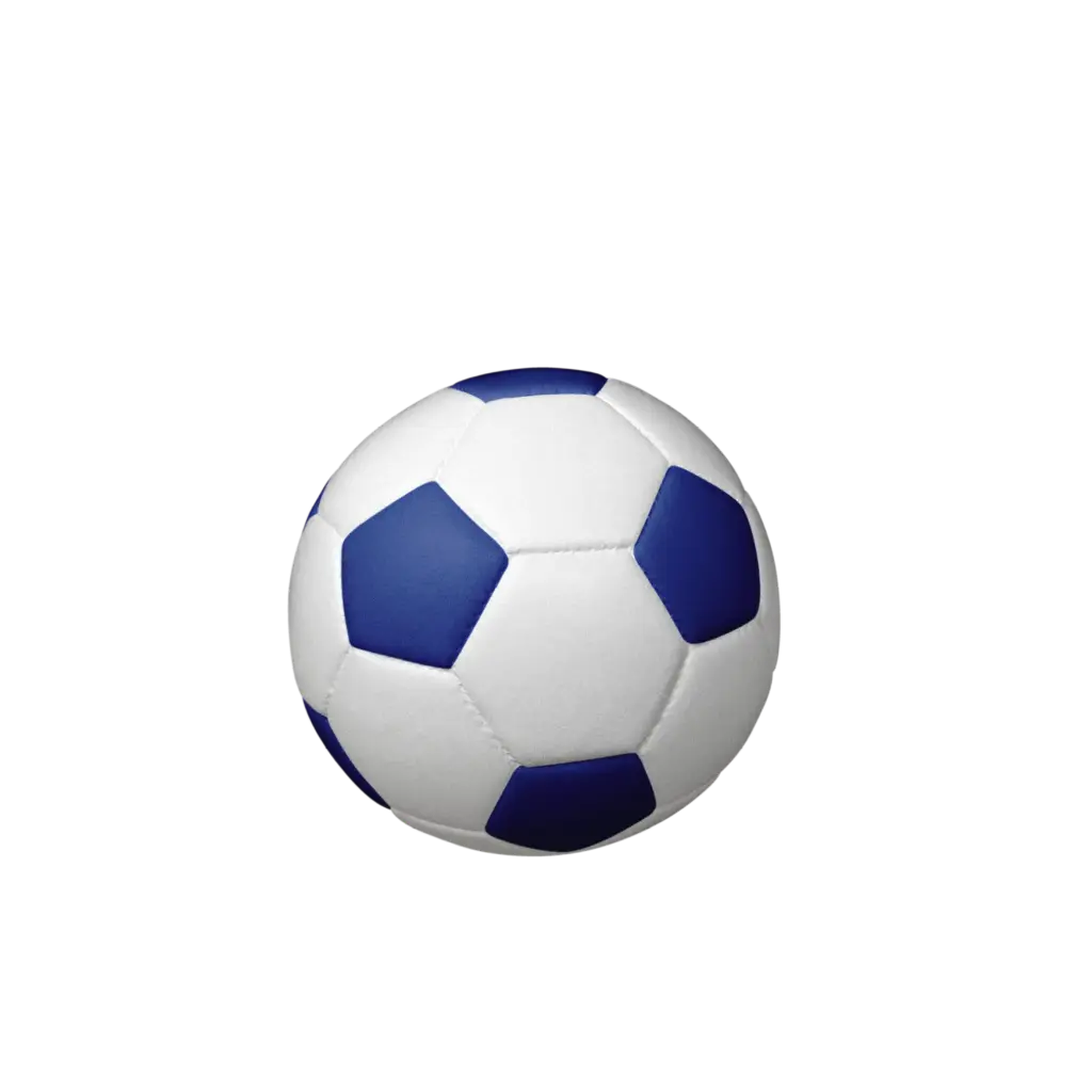 FUSSBALL BIO-LEHM Urne blau-weiß