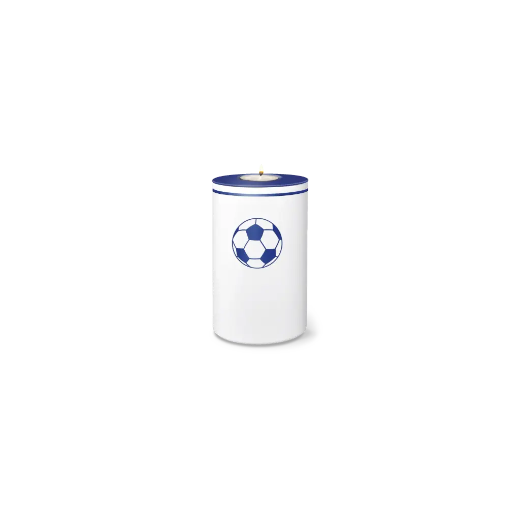 FUSSBALL RONDO BIO-LEHM Memory blau-weiß