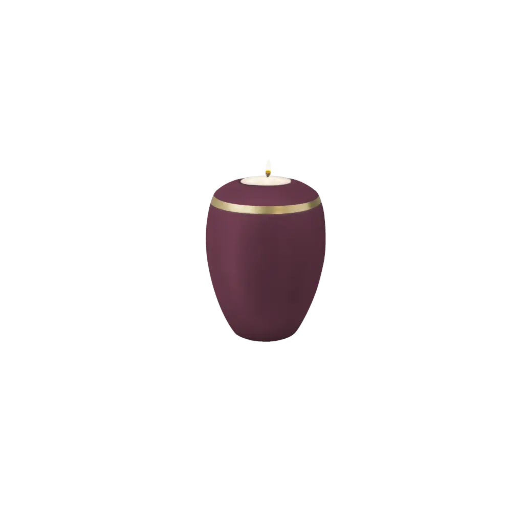 OMEGA BIO-LEHM Memory brombeer gold
