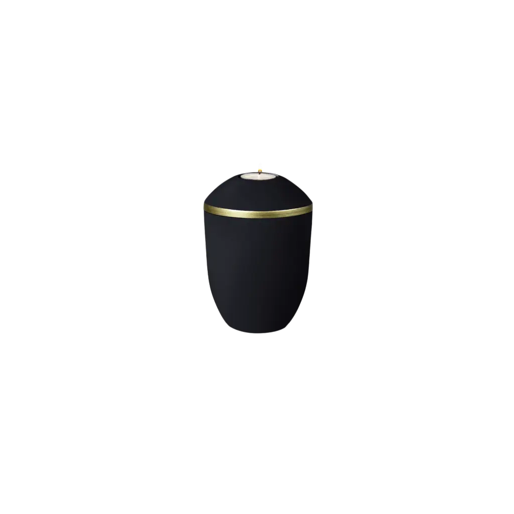 PURE BIO-LEHM Memory basalt gold