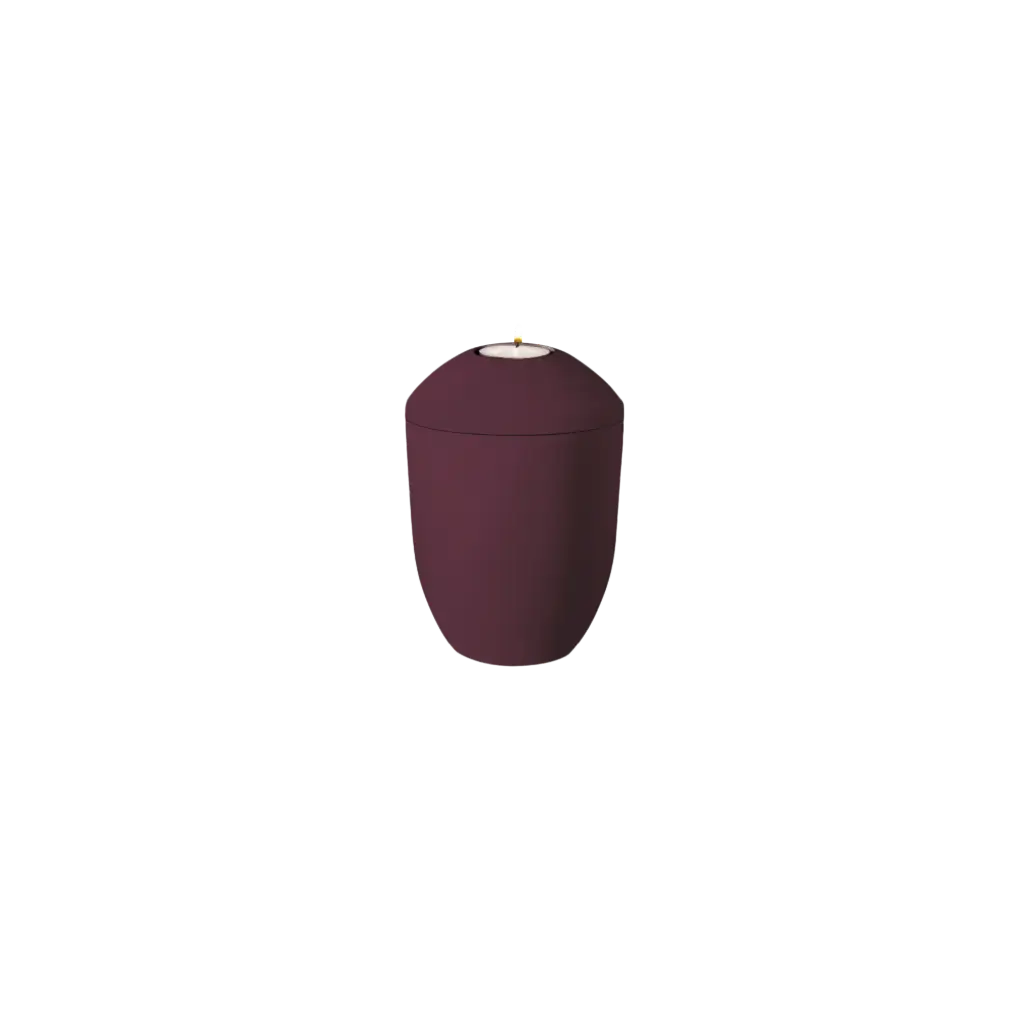 PURE BIO-LEHM Memory brombeer uni
