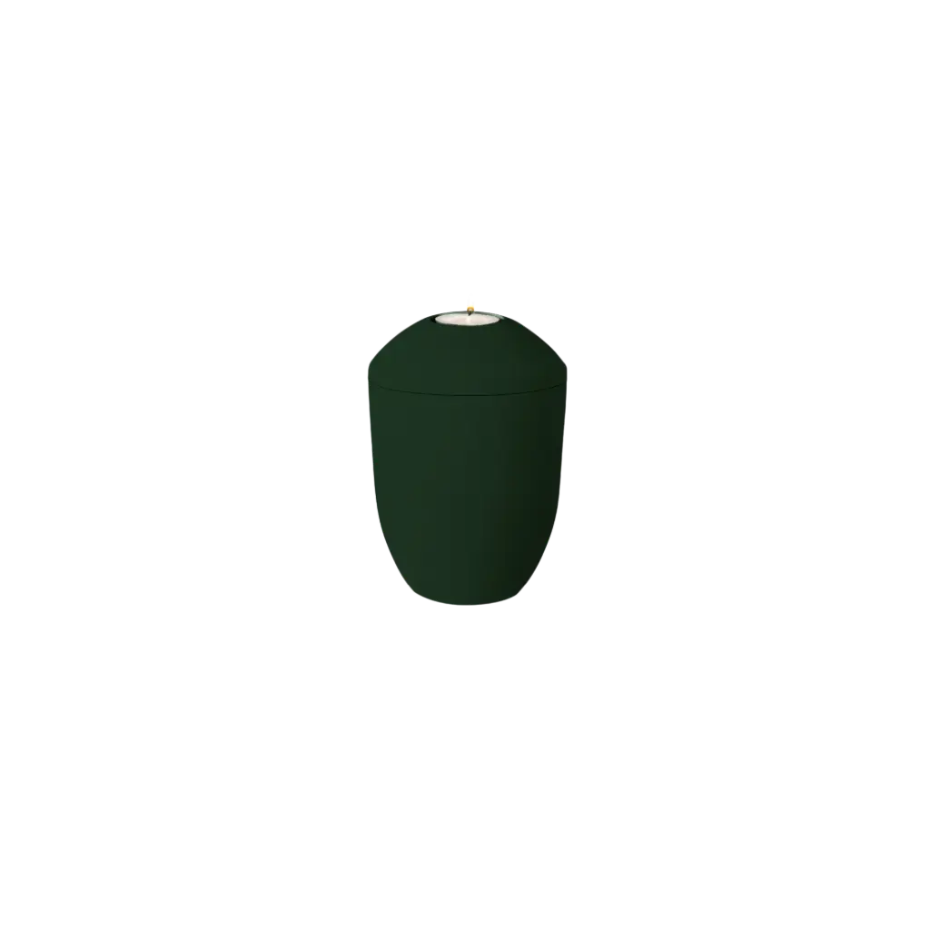 PURE BIO-LEHM Memory jade uni