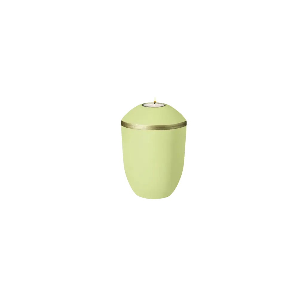 PURE BIO-LEHM Memory limone gold