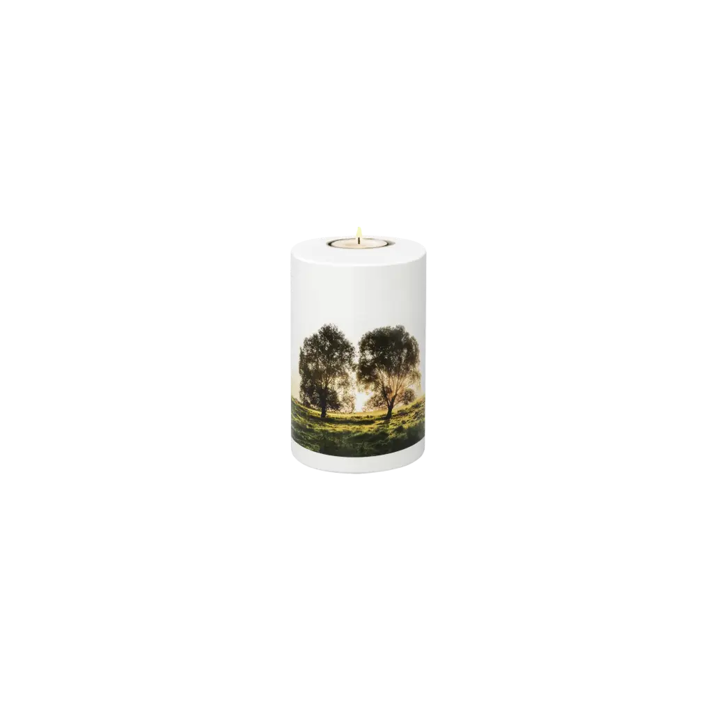 RUHEBAUM BIO-LEHM Memory Erde weiß