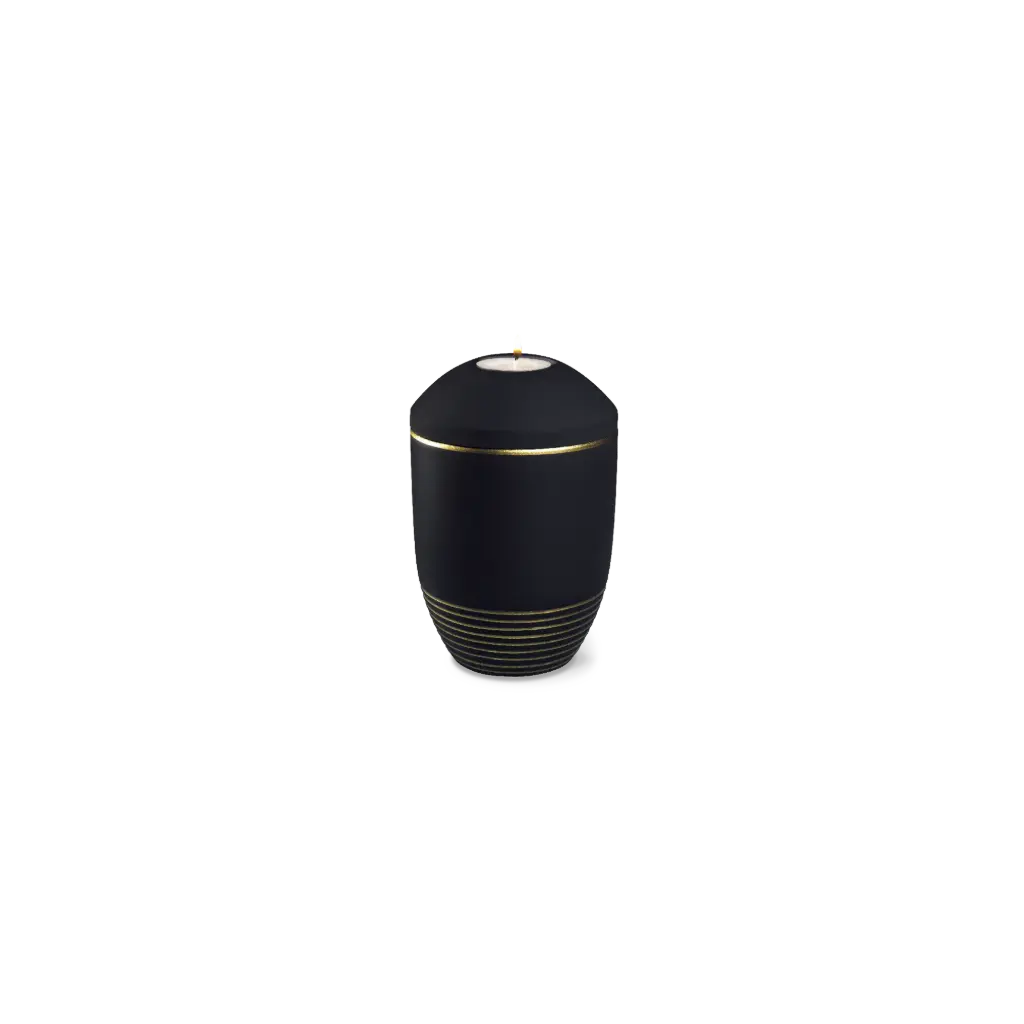 WAVE BIO-LEHM Memory basalt gold