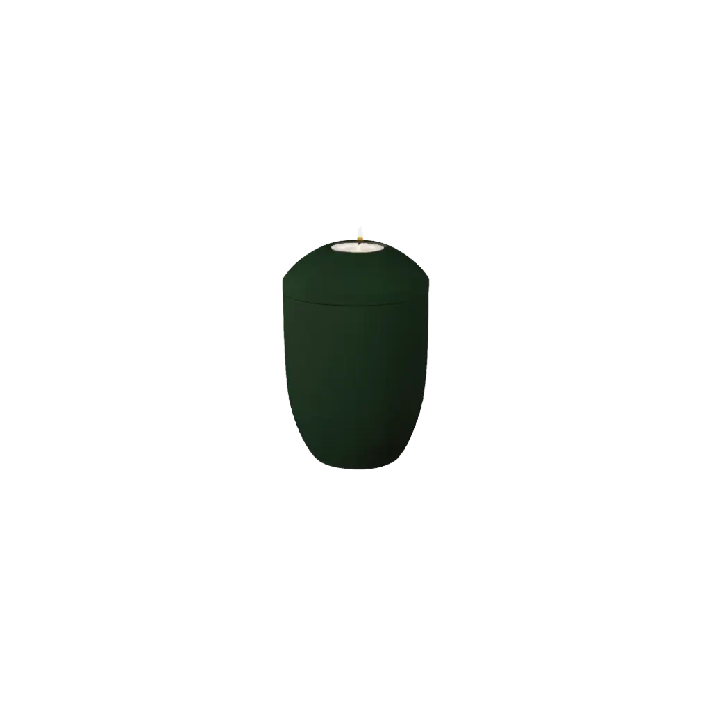 WAVE BIO-LEHM Memory jade uni