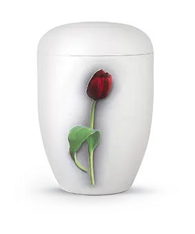 Edition Fleur, Klavierlack weiß, Tulpe, biol. abbaub.