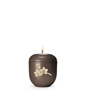 Edition Creatio, Perlmutt Chocolat, Orchidee, Gedenklicht