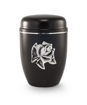 Cestal, schwarz, Silberstreifen, Rosenblüte