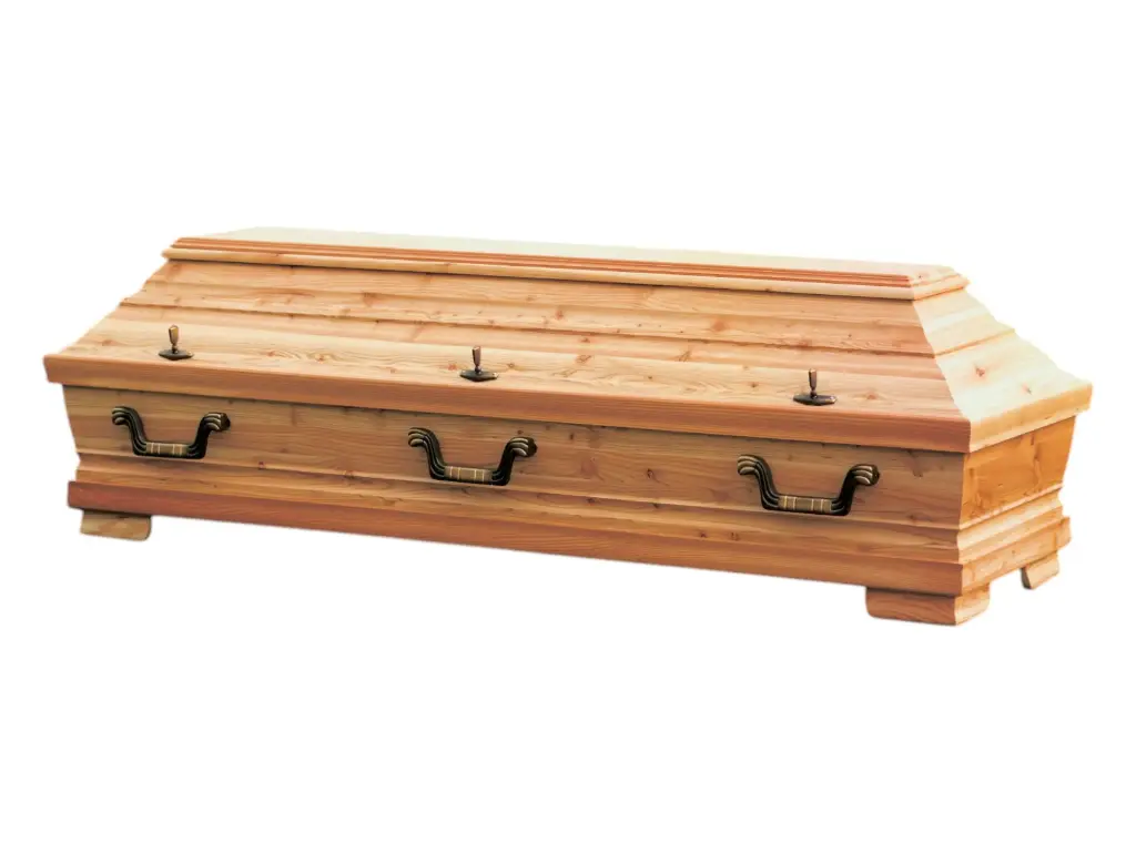 LÄ 8 TN, Lärche, natur - Lagerware