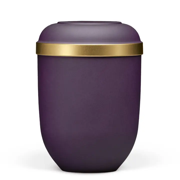 Violett-Velours, Goldrand