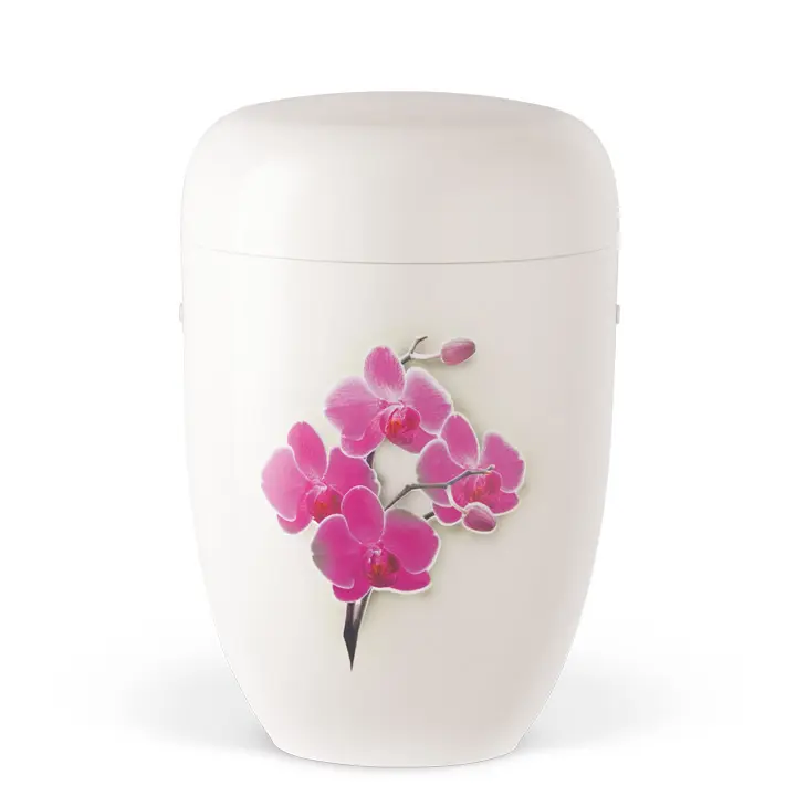 Cremeweiß, Orchidee mit Airbrush hinterlegt
