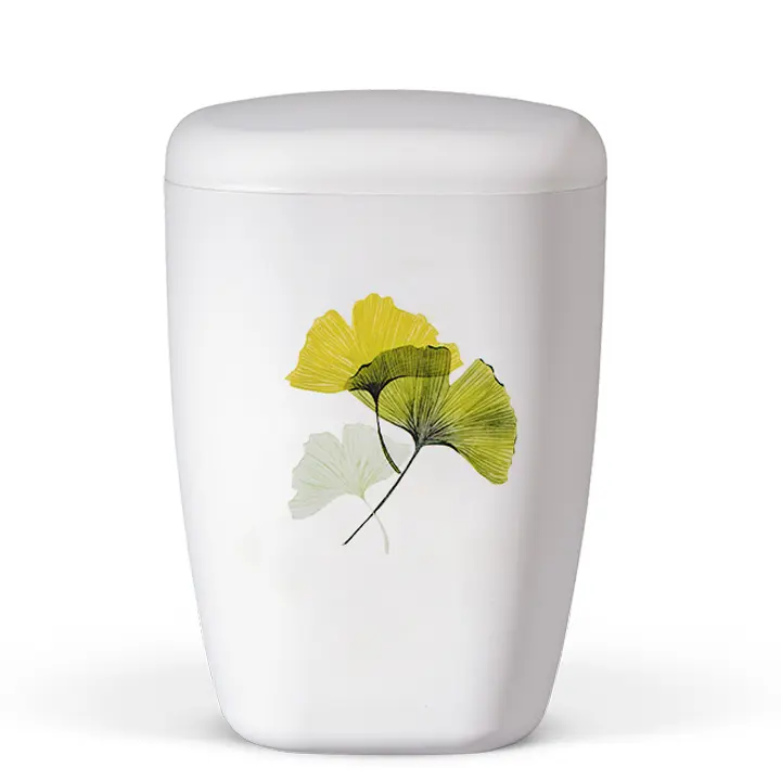 Weiß Matt, Gingko