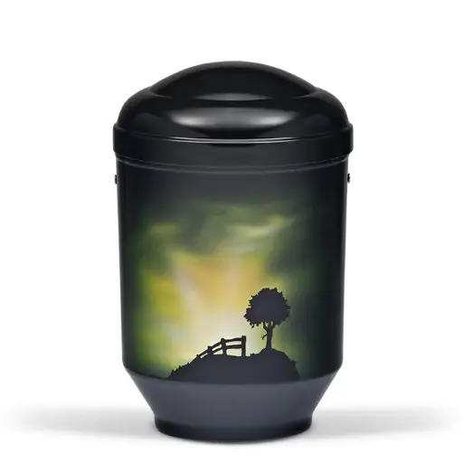 [3025] Schwarz, Airbrush: "MORGENSONNE"