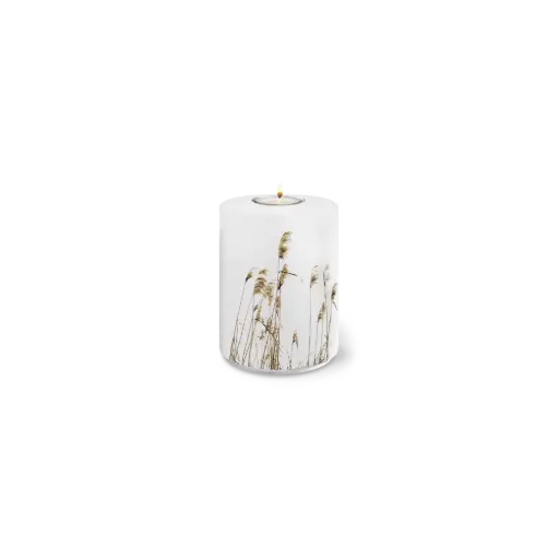 [37541] AQUA FLORA BIO-LEHM Memory Schilf weiß