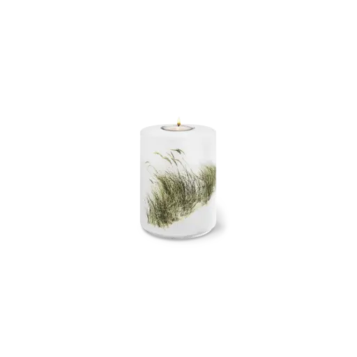 [37542] AQUA FLORA BIO-LEHM Memory Strandhafer weiß