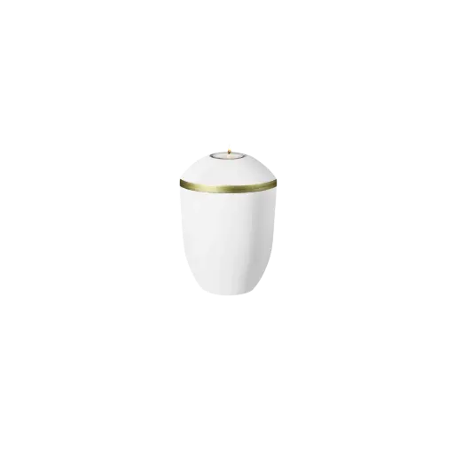 [36147] AQUA PURE BIO-LEHM Memory weiß gold