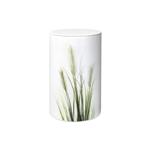 [37552] FLORA BIO-LEHM Urne Binsen weiß