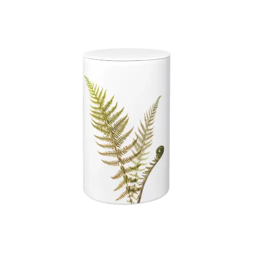 [37553] FLORA BIO-LEHM Urne Farn weiß