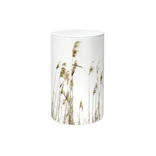 [37555] FLORA BIO-LEHM Urne Schilf weiß
