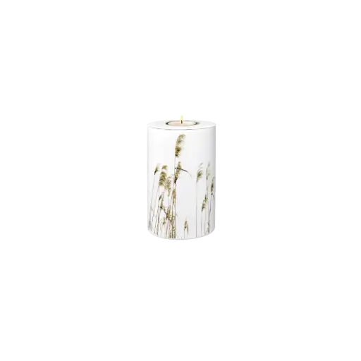 [37549] FLORA BIO-LEHM Memory Schilf weiß