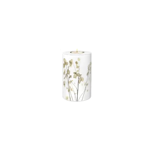 [37550] FLORA BIO-LEHM Memory Silberblatt weiß