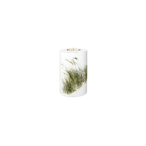 [37551] FLORA BIO-LEHM Memory Strandhafer weiß
