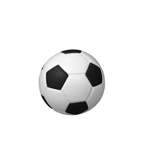 [37011] FUSSBALL BIO-LEHM Urne schwarz-weiß
