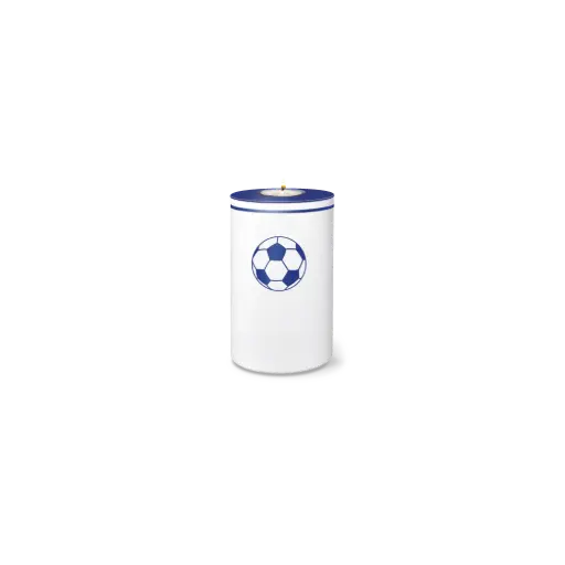 [37065] FUSSBALL RONDO BIO-LEHM Memory blau-weiß