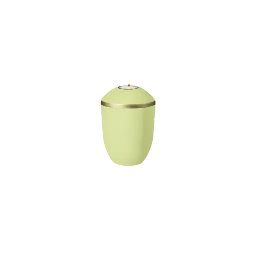 [37791] OPUS BIO-LEHM Memory limone gold