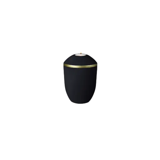 [35980] PURE BIO-LEHM Memory basalt gold