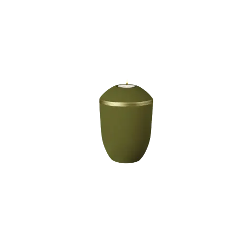 [37920] PURE BIO-LEHM Memory linde gold