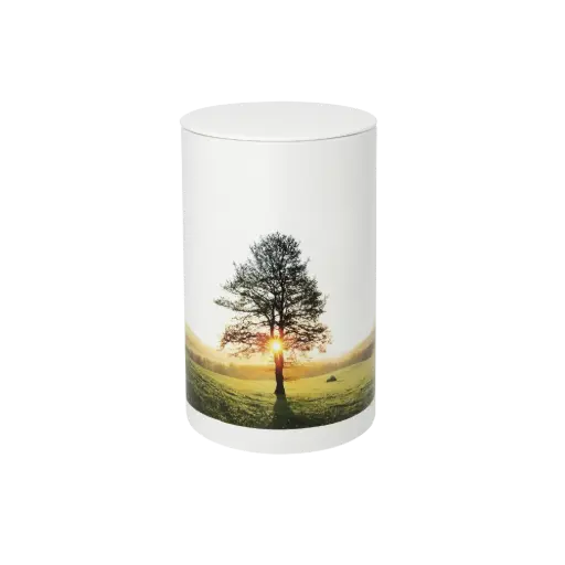 [38337] RUHEBAUM BIO-LEHM Urne Licht weiß
