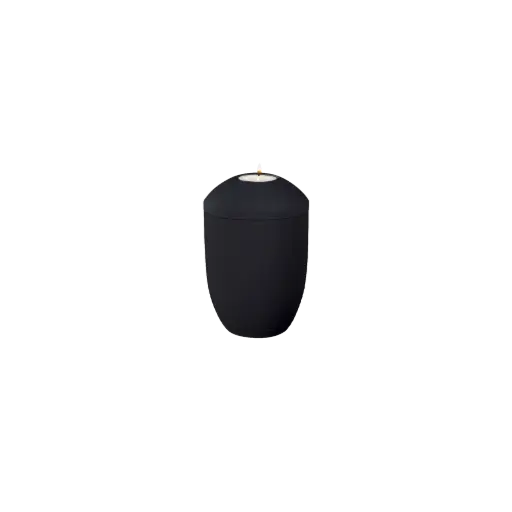 [36084] WAVE BIO-LEHM Memory basalt uni
