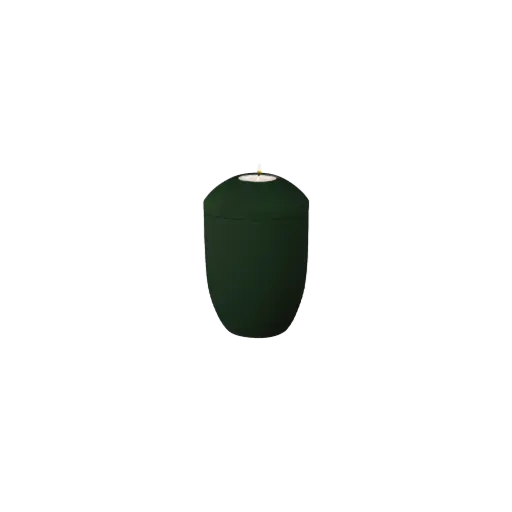 [36086] WAVE BIO-LEHM Memory jade uni
