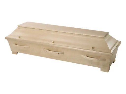 [8770-0033] P 152, Pappel/Birke furniert, natur - Lagerware