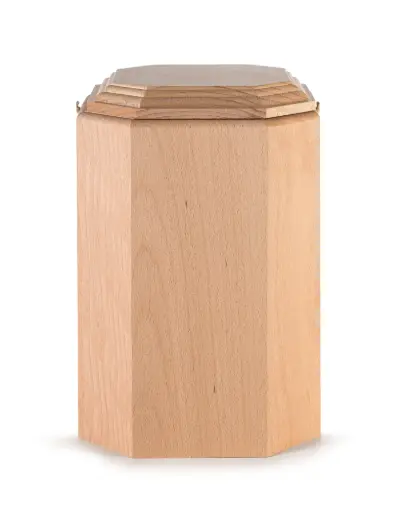 Serie Fagus